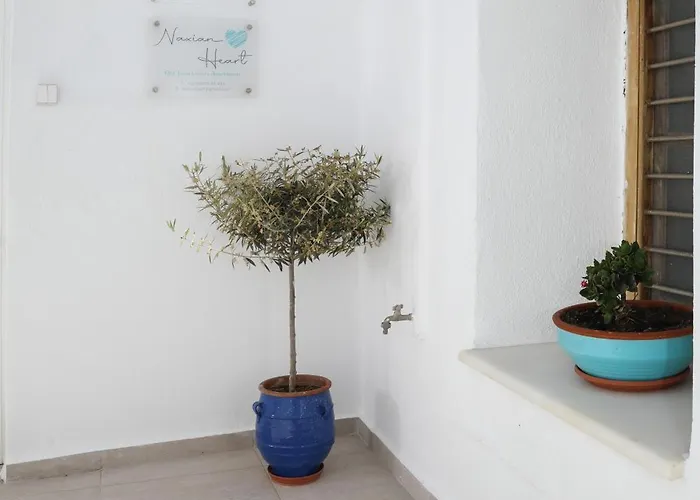 Apartment Cocoshome Naxos City