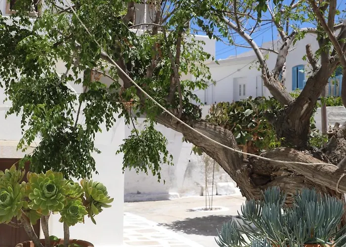 Cocoshome * Naxos City